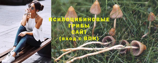 хмурый Балабаново
